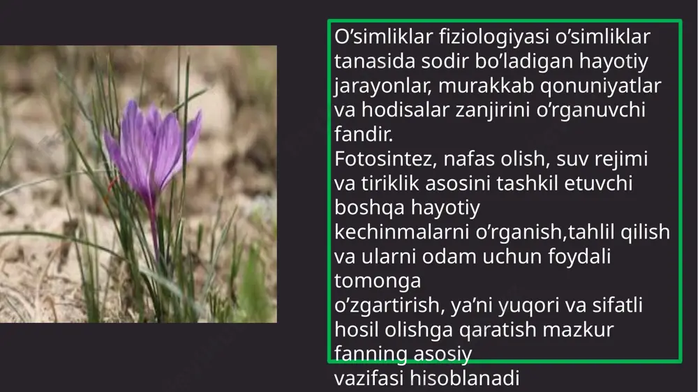 qat suv bo'lishi kerak degan qarorga keldi. italiyalik olim m.malpigi (1675),ingliz r.guk (1665) o’simliklarning mikroskopik tuzilishi haqidagi ta’limotni yaratdilar. 1700-yillarning oxiridan boshlab va 1800-yillarning o'rtalariga qadar yuliy saks va boshqalar kimyoviy tahlillardan foydalangan holda, tuproq tarkibidagi azot, kaliy, fosfat, oltingugurt va boshqa elementlarning miqdoriy jihatdan kichik tarkibiy qismlari o'simliklarning o'sishida muhim ahamiyatga ega ekanligini aniqlashdi. 1727 yilda ingiz botanigi s.geyls o’zining "o’simliklar statikasi " asarida bir qancha fiziologik tajribalarning natijalarini yakunlab, o’simliklarda ikki xil oqimning mavjudligini, ya’ni suv va ozuqa moddalarning pastdan yuqoriga va yuqoridan pastga qarab oqishini tasdiqladi. o’simliklarda suvni harakatga keltiruvchi kuch ildiz bosimi va transpirasiya ekanligini isbotladi. ingliz d.pristli (1771), gollandiyalik ya.ingenxauz (1779), shvetsariyalik olimlar j.senebye (1782) va t.sossyur (1804) bir-birlarining ishlarini to’ldirish natijasida o’simliklarda fotosintez jarayonining mavjudligini ochdilar. ya’ni yorug’likda yashil o’simliklar karbonat angidritni o’zlashtirib uglerodli birikmalarni to’plash xususiyatiga ega ekanligi aniqlandi. o’simliklar fiziologiyasi tarixida 1800 yil burilish yili hisoblanadi. chunki, shu yili j.senebyening 5 tomlik …