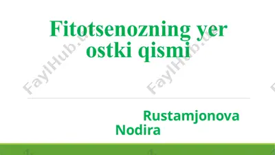 fitotsenozning yer ostki qismi — PPTX