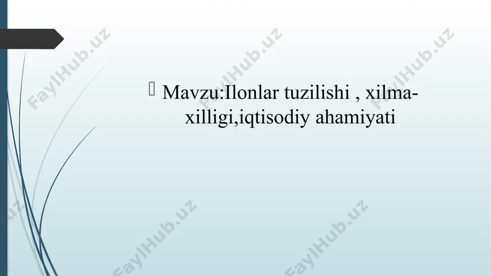 rangidan to‘q sariq, qo‘ng‘ir yoki qoragacha kuchli darajada o‘zgarib turadi. ostki tomoni oq va tanasining oldingi tomonida ikki-uchta qora ko‘ndalang yo‘llari bor. yoshlarining orqasida uzunasiga qora rangli ko‘ndalang yo‘llari bor, ularning old tomonidagilari pastki yuzasiga o‘tib ketadi. hindistonda yashaydigan kobralarning ensasida ko‘zoynakka o‘xshash naqshi bo‘lgani uchun ular ko‘zoynakli ilon deb ataladi. o‘zbekistonda kobra faqat bobotog‘da, hisor tizma tog‘larining tog‘ oldilarida va surxondaryo vodiysida nisbatan ko‘proq uchraydi. qarshi dashtida birmuncha kamroq, zarafshon va nurota tizma tog‘larida esa undan ham kam uchraydi. sharqda uchraydigan eng so‘nggi punkti — xovos atroflaridir. hatto bobotog‘da ham bir kunda ikkitadan ortiq ilon uchratish qiyin, odatda, ekspeditsiyalar vaqtida kamdan-kam, ya’ni bir oyda bitta kobrani uchratish mumkin. o‘zbekistonda kobra quruq yon bag‘irlarda, kemiruvchilar inida yashaydi. vodiylarda va aholi yashaydigan punktlarda kamdan-kam uchraydi. masalan, bu ilon bir kuni surxondaryo oblastida sho‘rchi qishlog‘i chekkasidan, boshqa safar samarqanddan tutilgan edi. qishlovdan, odatda aprelda chiqadi. bahorda kunduzi, keyin esa faqat ertalab va …
