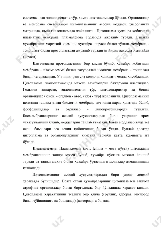 иган баровар миқдордаги оқсил ва рнк дан ташкил топган 17-23 нм диаметрга эга бўлган майда заррачалардир. улар ҳужайра мағизида, митохондриясида ва пластидларда ҳам учраб, улар ўлчами жиҳатидан анча кичикроқ бўлади. рибосомалар ҳужайрада алоҳида - моносома ёки гуруҳ бўлиб жойлашса – полисомалар дейилади. полисомаларда рибосомалар ўзаро ипсимон рнк молекулалари орқали боғланади. эукариот организмларнинг ҳужайраларида рибосомалар оқсилни синтез қилувчи марказ ҳисобланади. рибосомасиз ҳужайра узоқ яшай олмайди. эндоплазматик тўр. эндоплазматик тўр – (юнон. endo - ички) цитоплазманинг ичкарироқ қисмида жойлашган бўлиб, битта мембрана билан чегераланган вакуолалар ва каналчалар системасидан ташкил топган органоиддир (2-расм). эндоплазматик тўр морфологик тузилишига ва бажарадиган вазифасига кўра донадор ва силлиқ шаклларга бўлинади. донадор эндоплазматик тўрнинг мембранасига рибосомалар бириккан бўлиб оқсил синтезида қатнашади. силлиқ эндоплазматик тўр, донадор эндоплазматик тўрга нисбатан сустроқ ривожланган бўлиб, бўлинаётган ва баъзи дифференциацияланаётган етилган ҳужайраларда кам миқдорда ингичка шохланган найчалар ҳолатида учрайди. силлиқ эндоплазматик тўр липофил (эфир мойлари, смола, каучук) моддаларни синтезловчи ва ажратувчи ҳужайраларда яхши …