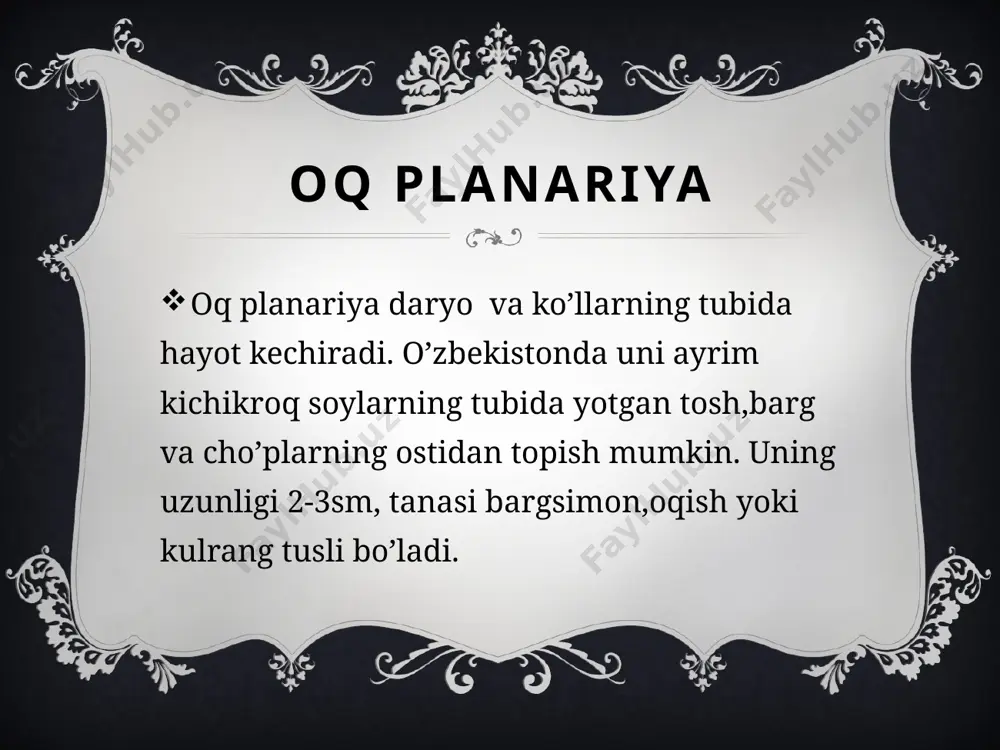 kiprikli chuvalchanglar taqdimoti - Page 5