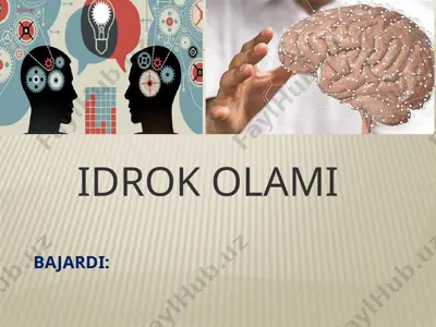 idrok olami — PPTX