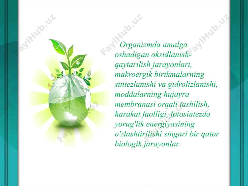 ent o‘rta va oliy maktab davlat nashriyoti. 1963. mustafayev s. m. botanika. toshkent, “o‘zbekiston”, 2002. sahobiddinov s. s. o‘simliklar sistematikasi. toshkent, “o‘qituvchi”, 1976. image9.jpeg image10.jpeg image11.png image12.gif image13.jpeg image14.jpeg image1.jpeg image2.jpeg image3.jpeg image4.jpeg image5.jpeg image6.jpeg image7.jpeg image8.jpeg