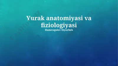 yurak anatomiyasi va fiziologiyasi — PPTX