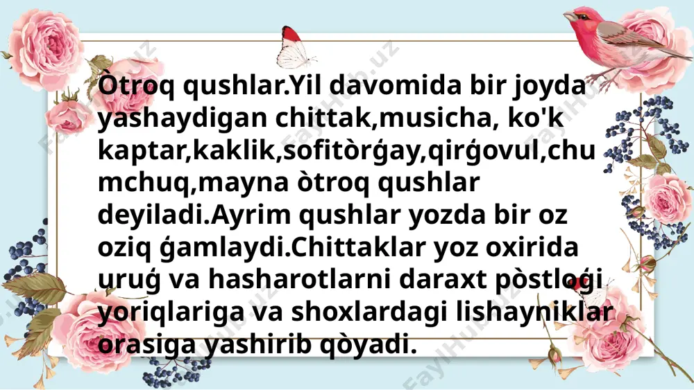 qoyalarining yoriqlari va binolarning boʻgʻotlariga uya qurib, 2 ta tuxum qoʻyadi. 3 haftada jish bola ochadi. lorem ipsum dolor four lorem ipsum dolor sit amet, consectetur adipiscing elit. donec luctus nibh sit amet sem vulputate venenatis bibendum orci pulvinar. step 2 step 3 lorem ipsum dolor sit amet, consectetur adipiscing elit. donec luctus nibh sit amet sem vulputate venenatis bibendum orci. lorem ipsum lorem ipsum dolor sit amet, consectetur adipiscing elit. donec luctus nibh sit amet sem vulputate venenatis bibendum orci. lorem ipsum four e'tiboringiz uchun rahmat image1.png image2.png image3.png image4.png image5.png image6.png image7.png image8.png image9.png image14.png image15.jpeg image10.png image11.png image12.png image13.png image16.jpeg image17.jpeg image18.jpeg image19.jpeg image20.jpeg image21.jpeg