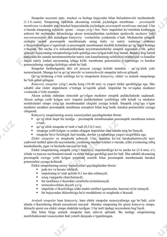 radi. glial hujayralar himoya funksiyasini ham bajaradi. astrotsitlar va ular qoplab turgan miya kapillyarlarining devori qonni neyronlardan ajratib turadigan suyuqlik – gematoensefalik to‘siq hosil qiladi. bu to‘siq miyaning ichki muhiti – serebrospinal suyuqlikning barqarorligini saqlashda muhim rol o‘ynaydi. gematoensefalik to‘siqdan ko‘p moddalar, jumladan toksinlar, ba'zi biologik faol moddalar neyronlar atrofidagi suyuqlikk o‘ta olmaydi. bundan tashqari, glial hujayralar fagotsitots qobiliyatiga ega. glial hujayralar neyronlarga trofik faoliyat ko‘rsatadi. astrotsitlar bevosita miya kapillyarlarida joylashgan, shu tufayli kislorod va almashinuv uchun boshqa moddalar bilan yaxshi ta'minlanadi. neyronlarning ba'zi moddalar bilan ta'minlanishida va ulardan almashinuv qoldiqlarining yo‘qotilishida glial hujayralar ishtirok etadi. keyingi yillarda glial hujayralar shartli reflekslar hosil bo‘lishida, hotira mexanizmlarida muhim ahamiyatga ega degan fikrlar aytilmiqda. 4. sinapslar, ularning tuzilishi va turlari. sinaps – bir neyronni ikkinchi neyron bilan, neyronni muskul tolasi yoki bez hujayrasi bilan bog‘lovchi tuzulma. turli neyronlar o‘rtasida funksional uzilish borligini ingliz olimi ch.sherrington (1857-1952) aniqladi. u nerv impulsi refleks yo‘li …