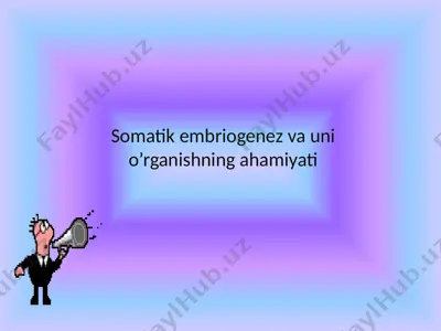 somatik embriogenez va uni o’rganishning ahamiyati — PPTX
