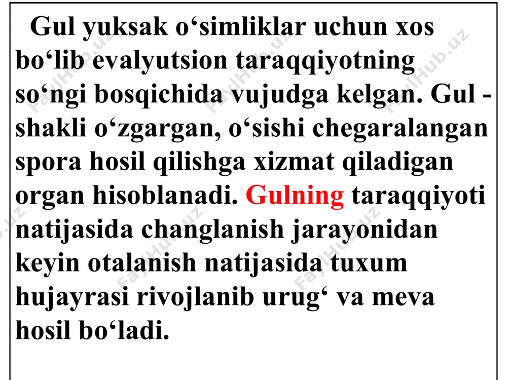 2 guruhga ajratamiz. monopodial shoxlanuvchi to‘pgullar. simpodial shoxlanuvchi to‘pgullar. monopodial shoxlanuvchi to‘pgullarda o‘sish nuqtasi cheksiz o‘sish xususiyatiga ega bo‘lib, yon shoxlarining soni noaniq bo‘ladi. bunday to‘pgullarda gulning asosiy o‘q qismi yaxshi ifodalangan bo‘lib, gullar gulning asosidan uchiga doimiy ravishda ochilib boradi. s simpodial shoxlanuvchi gullarning o‘sishi chegaralangan bo‘lib, hatto har bir tur va oilaga kiruvchi, o‘simlikda farq qiladi. bunday to‘pgullarda guli uchidan asosiga qarab ochiladi. monopadial to‘pgullar o‘z navbatida quyidagi turlarga bo‘linadi. 1. oddiy monopodial to‘pgullar. 2. murakkab monopodial to‘pgullar. oddiy monopodial to‘pgullarga quyidagilar kiradi. shingil (shoda). uzun asosi tepada bo‘lib bir xil uzunlikdagi gulbandlarda ayrim gullar hosil bo‘ladi. masalan: beda, shirach, yer yong‘oq, oq akatsiya va hokazo. oddiy boshoq-uzun asosida, gul bandsiz gullar joylashgan bo‘ladi. masalan: zubturum, qiyoq guli. dasta to‘pgul bitta gul bandida bir necha gul joylashgan bo‘ladi. masalan: olma, nok. soyabon - piyoz va olcha gulida hosil bo‘lib gullar bir asosida bir xil uzunlikda gumbaz bo‘lib joylashadi. …