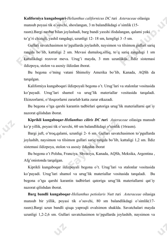 ris nutt turi asteraceae oilasiga mansub bir yillik, poyasi tik o’suvchi, 80 sm balandlikdagi o’simlik(17-rasm).bargi uzun bandli qisqa yaproqli ovalsimon shaklda. savatchalari mayda uzunligi 1,2-2,6 sm. gullari savatchasimon to’pgullarda joylashib, naysimon va tilsimon gullari sariq rangda bo’lib, kattaligi 1,2 sm. i̇ldiz sistemasi ildizpoya, stolon va asosiy ildizdan iborat. bu begona o’t shimoliy amerikada kanada, aqshda tarqalgan. barg bandli kungaboqar ildizpoyali begona o’t.urug’lari vositasida ko’payadi. urug’lari shamol va urug’lik materiallar vositasida tarqaladi. bu begona o’tga qarshi karantin tadbirlari qatoriga urug’lik materiallarni qat`iy nazorat qilishdan iborat. tukli kungaboqar -helianthus scaberrimus benth turi asteraceae oilasiga mansub bir yillik, poyasi shoxlangan, tik o’suvchi, 1 m balandlikdagi o’simlik. barglari navbat bilan joylashib, ovalsimon, qalami. gullari savatchasimon to’pgullarda joylashib, o’lchami 3 sm, naysimon va tilsimon gullari sariq rangda bo’lib, kattaligi 1,2 sm. urug’i tuxumsimon, sariq rangda, tuklanib,po’pik xosil qiladi. i̇ldiz sistemasi ildizpoya, stolon va asosiy ildizdan iborat(18-rasm). bu begona o’t niderlandiya, franciya, shveciya, kanada, aqsh, argentinada …