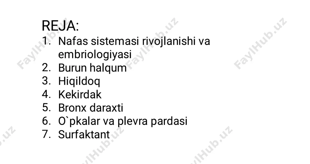 al hujayralar • 1. 2. 3. 4. 5. 6. 7. 8. xususiy qavat siyrak tolali biriktiruvchi to`qima plazmotsit leykotsit qon hujayrasi ko`plab elastik tolalar alveolyar-naysimon shilliq bez limfa tugunlari silliq muskul • •     hidlov sohasi burun bo`shlig`ning yuqori chig`anoq, qisman o`rta chig`anoqning yuqori qismi va burun to`sig`i yuqori sohasini o`z ichiga oladi quyidagi hujayralardan iborat: hid bilish neyronlari tayanch hujayralar bazal hujayralar jiyakli hujayralar     bazal soha: aksonlar biriktiruvchi to`qima bovman bezi qon tomirlar 1. 2. 3. 4.   paranazal sinuslar: sinus sphenoidalis sinus ethmoidalis sinus maxillaris sinus frontalis bu sinuslarda kam miqdorda qadahsimon hujayralar va xususiy pardadagi bezlar mavjud. qadahsimon hujayralar ishlab chiqargan shilliq kiprikli hujayralar faoliyati tufayli tashqariga chiqariladi     1. 2. 3.  hiqildoq shakli qumsoatga o`xshash qismlari yuqori kengaygan dahliz o`rta qism plica vestibularis appendix plica vocalis quyi kengaygan qism 1. 2. 3. qavatlari shilliq …