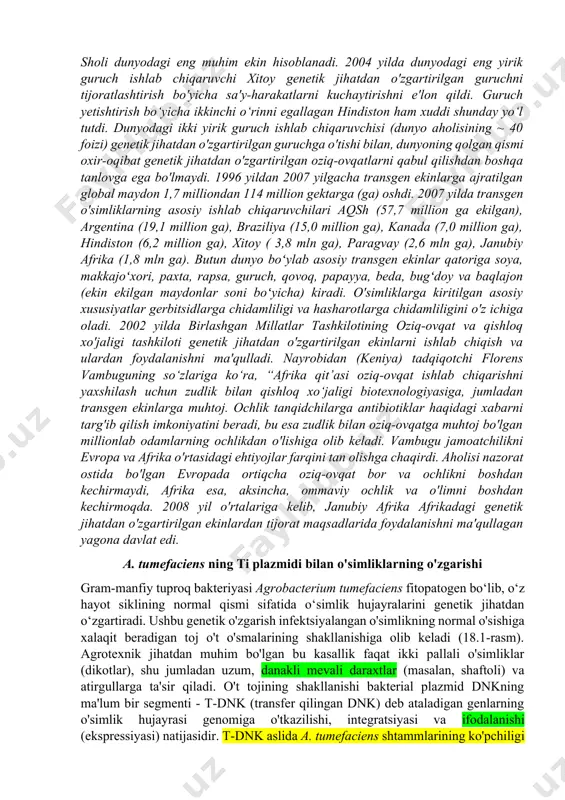 shlab chiqarish uchun tayyorlanishi mumkin. shu bilan bir qatorda, ular virusli antigen determinantlarni sintez qilish uchun ishlab chiqilishi mumkin va yutilgandan keyin qutulish mumkin bo'lgan vaktsinalar sifatida ishlatilishi mumkin. bugungi kunga qadar dunyoning 50 dan ortiq mamlakatlarida 150 dan ortiq turli oʻsimlik turlari, jumladan, koʻplab ekinlar va oʻrmon turlari genetik jihatdan oʻzgartirilgan. o'simliklar biotexnologiyasi o'simliklarni ko'paytirish dasturlariga katta ta'sir ko'rsatmoqda, chunki u an'anaviy o'simliklarni ko'paytirish usullaridan foydalangan holda yangi navni yaratish uchun zarur bo'lgan 10-15 yilni sezilarli darajada qisqartiradi. 2008 yil o'rtalarida tadqiqotchilar yuzlab mikroorganizmlar va o'nlab hayvonlarning to'liq dnk ketma-ketligi haqida xabar berishdi, lekin faqat uchta o'simlik: arabidopsis thaliana, guruch va terak. o'sha paytda makkajo'xori, soya, rapsa, pomidor, paxta, kartoshka, kassava, jo'xori, uzum va shaftoli kabi bir qancha boshqa o'simliklarning genom ketma-ketligi boshlangan edi. o'simlik genlari va genomlarini o'rganish hayvonlarni o'rganishdan aniq orqada qolsa-da, u jadal rivojlanmoqda, shuning uchun keyingi 5-10 yil ichida o'simliklar biotexnologiyasiga katta ta'sir ko'rsatadigan ko'plab …