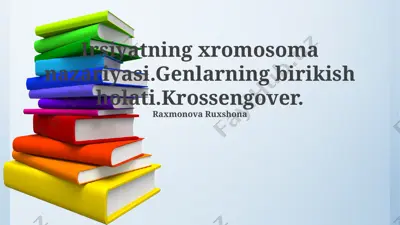 irsiyatning xromosoma nazariyasi — PPTX