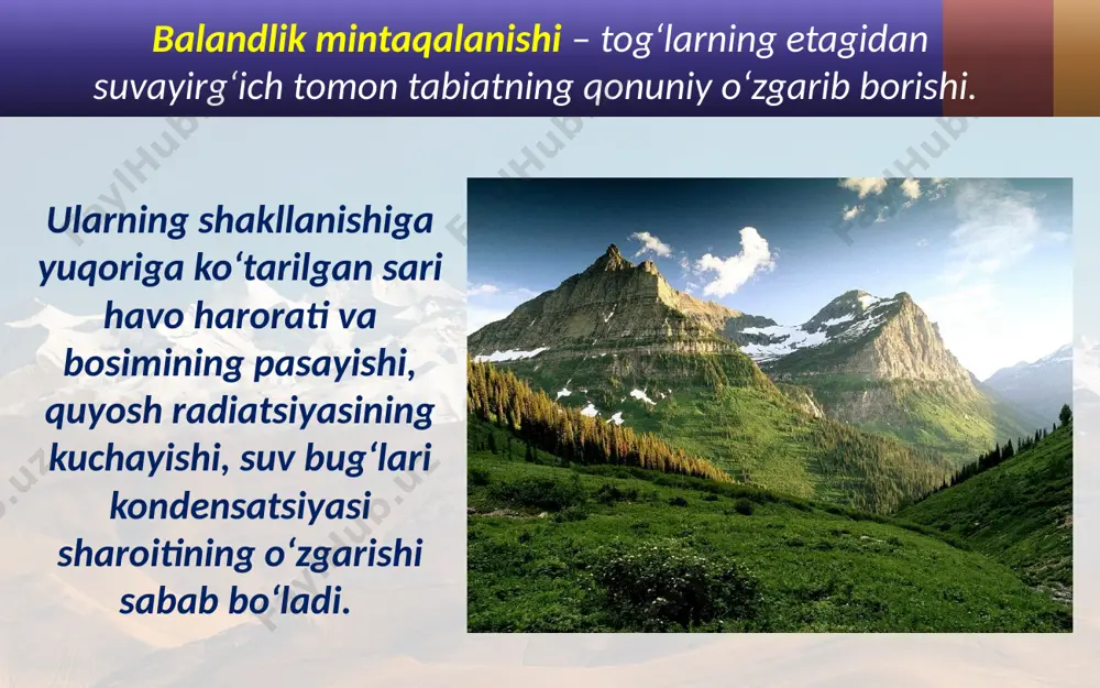 balandlik mintaqalanishi qonuniyati. 10 - sinf - Page 3
