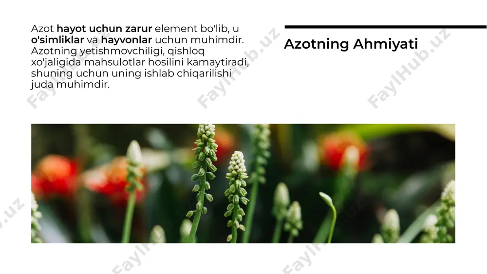 azot olish texnologiyasi - Page 3