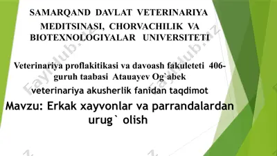erkak xayvonlar va parrandalardan urug` olish — PPTX