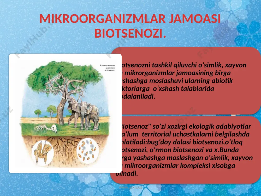 ligini yomonlashishiga, ma’naviyatini pasayishiga va iymonini susayib ketishiga olib keldi. biosferaning tarkibiy qismi bo‘lgan inson, tirik mavjudotlarning oliy shakli hisoblanib, tabiiy muhit bilan bir paytning o‘zida ijtimoiy va ruhiy muhitlarda yashaydi. shu boisdan u biologik, ijtimoiy ruhshunoslik qonuniyatlari bo‘yicha rivojlanib boradi hamda ularning doimiy o‘zaro ta’siri ostida bo‘ladi. biroq bironta ham sanekologik, ijtimoiy ekologik va psixologik tadqiqotlar «umuminsoniga» tayana olmaydi. faqat aniq biologik, ruhiy va ijtimoiy belgilarga ega bo‘lgan odamlar guruhigina sanekologiya ijtimoiy ekologiya va psixoekologiya fanlarining tadqiqot predmeti bo‘lishi mumkin. www.arxiv.uz biogeotsenoz biogeotsenoz tushunchasi 1940 yilda akademik v. n. sukachev tomonidan taklif kilingan. biogeotsenozlar: 1. turlar xilma-xilligi 2 xar bir turdagi individoar zichligi ; 3. biomassa (biogeotsenozdagi organik moddaning umumiy mikdori) kabi kursatkichlar bilan tariflanadi. biogeotsenozdagi xayot jarayonlarini tashkaridan keladigan energiya ta’minlagani uchun uni ochik, muvozanat xolatidagi, uz-uzini idora kila oladigan sistema deyiladi. www.arxiv.uz www.arxiv.uz biogeotsenozning turgunligini moddalarning davriy aylanishi (ulik tabiatdan tirik tabiatga, tirik tabiatdan esa ulik tabiatga …