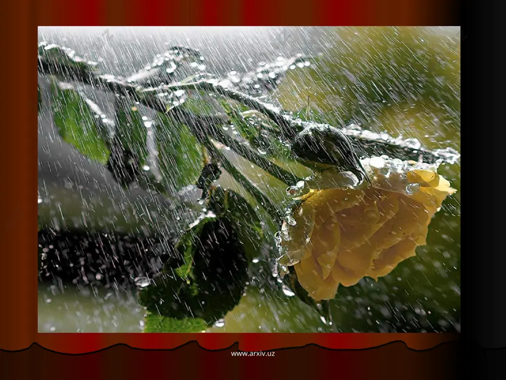 r shaxsda zavq uyg’otadi, g. tuyg’usini tarbiyalaydi. www.arxiv.uz www.arxiv.uz adabiyotlar www.google.uz www.ziyonet.uz www.arxiv.uz www.arxiv.uz www.arxiv.uz www.arxiv.uz www.arxiv.uz