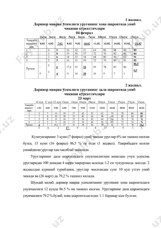 соат коронги жойда ёки 30° ли хароратда 30-40 минут сакланади. уруглар рангни суст оладиган булса, яна эритмага солинади. уруг нимталари ёки муртаклари эритмадан олингандан кейин буялган (яъни яшовчан) ларини санаб, иккала намунадан уртача фоиз чикарилади. уруғларнинг яшовчанлигини люминесцент усули билан аниклаш. тирик ва улик уругларультрабинафша нурлар таъсирида хар хил товланиши билан бир-биридан фарк килади. айрим усимлик уруглари ивитилгандан кейин муртаги оркали узунасига кесилса, бошкалари пустидан тозаланиб, муртаги оркали кия килиб кесилади. муртак устига махсус диметилнафтейродин реактиви (спирт-сувли эритмаси) нинг 0,01% ли эритмаси куйилади, сунгра уруг нимталари сув билан ювилиб, ультрабинафша нурларида куриб чикилади. яшовчан муртаклар тилларанг сарик тус берса, яшашга кобилиятсиз муртаклар жигар ранг ёки кул ранг товланади. анализ учун, одатдагидек, хар кайсиси 100 донадан иборат иккита намуна олинади. янги терилган уругларнинг узок вакт тиним даврида булишлигини майдагул тоғрайхон origanum tyttanthum gontsh уругларининг унувчанлиги мисолида куриб чикамиз (д1кумаев,1990): расмдаги маълумотларга кура усимлик уругларининг унувчанлиги дастлабки 6 ой мобайнида паст булиб, …
