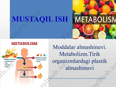 moddalar almashinuvi. metabolizm.tirik organizmlardagi plastik almashinuvi — PPTX