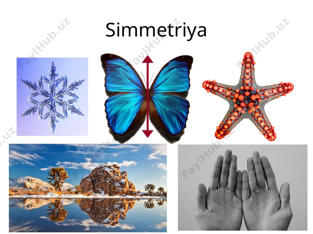 sababli bu yangi simmetriya turi emas simmetriya elmentlari 2-darajali inversion o’q 1-bosqich: 360/2 ga buriladi simmetriya elmentlari 2-darajali inversion o’q 1-bosqich: 360/2 ga buriladi 2-bosqich: tasvir olinadi simmetriya elmentlari 2-darajali inversion o’q 1-bosqich: 360/2 ga buriladi 2-bosqich: tasvir olinadi natija simmetriya elmentlari 2-darajali inversion o’q 1-bosqich: 360/2 ga buriladi 2-bosqich: tasvir olinadi simmetriya tekisligi bilan bir xil simmetriya elmentlari 3-darajali inversion o’q simmetriya elmentlari 3-darajali inversion o’q 1-bosqich: 360/3 ga buriladi 1 simmetriya elmentlari 3-darajali inversion o’q 1-bosqich: 360/3 ga buriladi 2-bosqich: tasvir olinadi simmetriya elmentlari 3-darajali inversion o’q 1 2 simmetriya elmentlari 3-darajali inversion o’q simmetriya elmentlari 3-darajali inversion o’q simmetriya elmentlari 3-darajali inversion o’q 1 2 3 simmetriya elmentlari 3-darajali inversion o’q (3  (1)  4) 1 2 3 4 simmetriya elmentlari 3-darajali inversion o’q 5 (4  (2)  5) 1 2 5 simmetriya elmentlari 3-darajali inversion o’q (5  (3)  6) 1 6 5 …