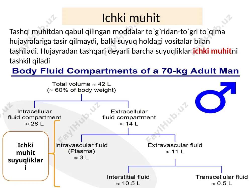 kortizol – mukoprotein tabiatli: transkortin vitamin a,d,e lar - lipoproteinning yuqori va past zichligli turi bilan tashiladi (hdl and ldl). vitamin b12 - transkobalamin yordamida bilirubin - transporti albumin va alfa-globulin bilan bogʻliq. turli xil dorilar albumin bilan tashiladi. plazma ca2+ si (50%) qisman oqsillar bilan birikib tashiladi. mis - seruloplazmin (alfa2-globulin) bilan tashiladi. erkin gemoglobin - tomirlarda gaptoglobinlar bilan birikadi va retikuloendotelial sistemaga tashiladi plazma oqsillari funksiyalari 7. zaxira oqsillarning roli. plazma oqsillari zaxira sifatida saqlanib, toʻqimalar tomonidan quyidagi hollarda ishlatiladi: - och qolganda - oqsil yetishmasligida, - shoshilinch oqsillar katabolizmida. 8. eritrotsitlarning cho’kish tezligini barqaror saqlashdagi roli - echt barqarorligi qizil qon hujayralarinig xususiyatiga bogʻliq. - globulin va fibrinogenlar bu xususiyatni tezlashtiradi. 9. fibrinolitik vazifasi - fibrinolitik sistemaning fermentlari tomir ichidagi quyqa (tromb)ni yoʻqotadi va trombozning asoratlaridan qutqaradi. 10. genetik axborotdagi roli -koʻpgina plazma oqsillari polimorfizm xususiyatiga ega. -polimorfizm - bu mendeleev xususiyati boʻlib, bu xususiyat population genetikani …