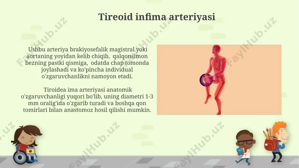 segmentga bo'linadi: prevertebral va intravertebral segmentlar, ular birgalikda bosh miyaning orqa qismining 20-25% qon bilan ta'minlanishini ta'minlaydi. subklaviya arteriya shikastlanishi subklaviya arteriya shikastlanishining o'ziga xos belgilariga qattiq og'riq, ko'karishlar, pulsatsiya qiluvchi gematoma va distal tomonda qon oqimining pasayishi kiradi, bu esa to'qimalarning ishemiyasi xavfini oshiradi. subklaviya arteriyasining to'liq shikastlanishi qon yo'qotishning 1000 ml dan ortiq bo'lishiga va shok holatiga olib kelishi mumkin, shuning uchun tezkor diagnostika va davolash juda muhimdir. kostotservikal magistral kostotservikal magistralning tarmoqlanishi individual farqlarga ega bo'lib, ba'zi hollarda 2-3 ta kichik shoxchalarga bo'linishi, boshqalarida esa bitta katta magistral sifatida davom etishi mumkin. kostotservikal magistral umurtqa pog'onasining 7-bo'yin umurtqasi darajasida subklaviya arteriyasidan boshlanib, 1-to'sh suyagining orqa yuzasiga qadar cho'ziladi va orqa miya va bo'yin mushaklarini qon bilan ta'minlaydi. subklaviya arteriya stenozi va trombozi subklaviya arteriya trombozi, emboliya yoki arteriya devorining shikastlanishi natijasida yuzaga kelishi mumkin, va bu holat bemorlarda kuchli og'riq va qo'lning zaiflashishiga sabab bo'ladi. subklaviya arteriya …