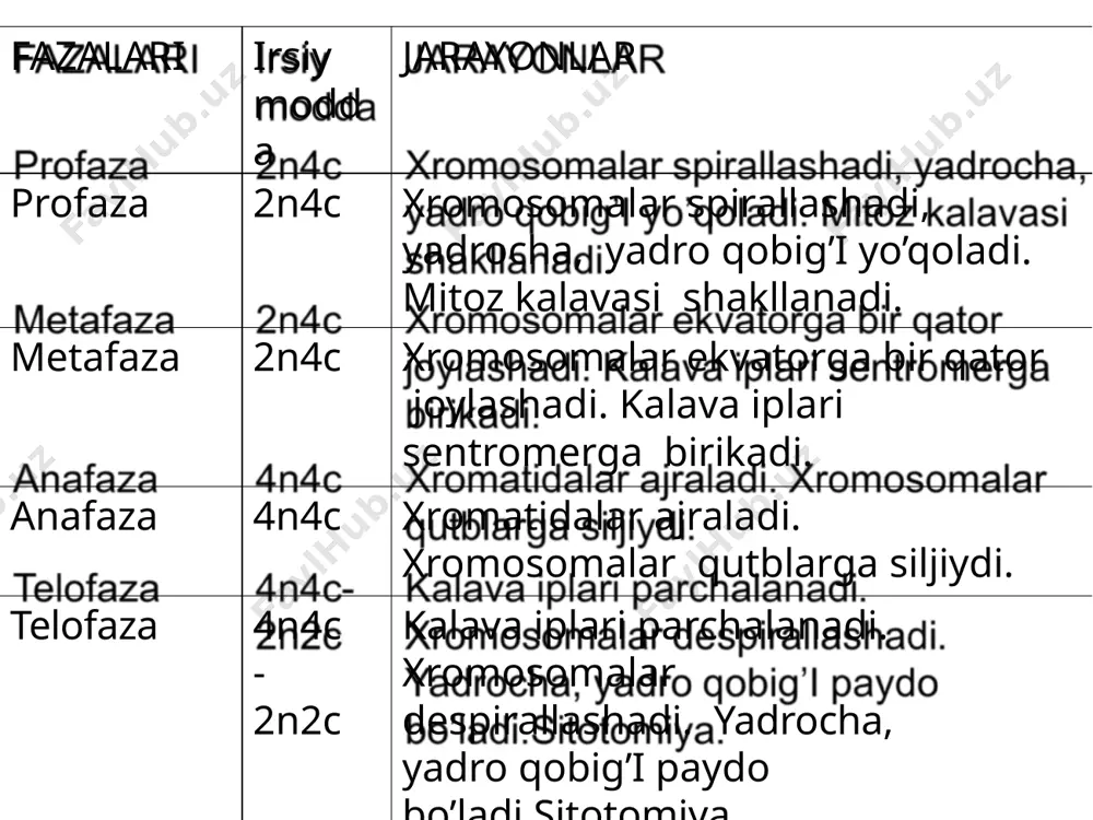 xromosoma.hujayraninghayotsikli.mitoz.meyoz. - Page 5