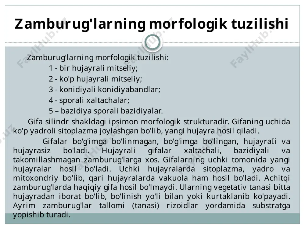 iy sharsimon bo‘shliq bo‘lib, uning ichida xarakatsiz sporalar to‘plami bo‘ladi. bu sporalar etilganda ular tashqariga chiqib, tarqaladi. zoosporangiy esa kolbasimon bo‘liq bo‘lib uning ichida xarakatli sporalar (bir yoki ikki xivchinli zoosporalar) to’plangan bo‘ladi. qo‘lay sharoitda bu zoosporangiylar tashqariga chiqib tarqaladi va o‘simliklarni zararlaydi. jinsiy ko‘payish. bunda ikki xujayra xrshilish natijasida sporalar hosil bo’ladi. 1) planogamiya - ikki xil gameta qo’shilishi natijasida xarakatlanuvchi xivchinli planozigota yoki sista hosil bo‘ladi. xitridiomitsetlar sinfiga mansub zamburug‘lar ana shu yo‘l bilan ko‘payadi. 2) oogamiya - bunda ikki xujayra, otalik - anteridiy - va urgochi oogoniy qo‘shiladi. bunda oosporalar hosil bo‘ladi. bu jarayon oogamiya deyiladi. oosporalar tuproq va o‘simlik qoldig‘ilarida saqlanadilar. 3) zigogamiya - bunda morfologik jixatdan bir xil bo’lgan mitseliylarning qo‘shilishi natijasida zigospora hosil brladi 4) askomitsetlarning ko‘payishi - ikki xujayara, ya’ni otalik - antirediy va urg’ochi arxikarplarning qo‘shilishidir. bu jarayon yakunida sporali xaltachalar (askosporalar) hosil bo’ladi. 5) bazidoimitsitlarning ko’payishi - ikki xil mitseliy, ya’ni …