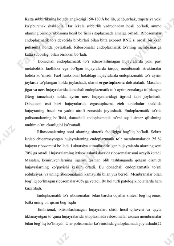 zatiladi. endoplazmatik to’r ribosomalari bilan barcha oqsillar sintezi bog’liq emas, balki uning bir qismi bog’liqdir. embrional, ixtisoslashmagan hujayralar, shish hosil qiluvchi va qayta tiklanayotgan to’qima hujayralarida sitoplazmada ribosomalar asosan membranalar bilan bog’liq bo’lmaydi. ular polisomalar ko’rinishida gialoplazmada joylashadi(22 rasm). kuchli oqsil sintezi ketayotgan ixtisoslashgan, bo’linishdan to’xtagan (oshqozon osti bezi, sut bezi, nerv hujayralari) hujayralar gialoplazmasi erkin ribosomalarni juda oz tutadi, ularning ko’p qismi endoplazmatik to’r membranasi bilan bog’liq bo’ladi. bu tekshirishlardan shu ma’lum bo’ldiki, hujayra o’zining ehtiyoji uchun zarur bo’lgan oqsillarni gialoplazma ribosomalarida sintezlaydi. endoplazmatik to’r membranalaridagi ribosomalar esa hujayradan chiqarib yuboriladigan- “eksport” qilinadigan oqsillarni sintezlaydi. haqiqatdan ham, ko’phujayrali organizmlarning donachali endoplazmatik to’rga boy bo’lgan ko’pchilik hujayralari ko’p miqdor oqsillarni sintezlaydi va tashqariga chiqaradi. masalan, oshqozon osti bezi atsinus hujayralari ichakda ovqatni parchalovchi ko’p miqdor oqsil-fermentlarni (proteazin, lipaza, nukleaza v.b.) sintezlaydi va ajratib chiqaradi: jigar hujayrasi-qon albuminini; plazmositlar-γ-globulinlarni; sut bezikazeinni; so’lak bezi-ovqat hazm qilish fermentlari, amilaza va rnk azani v.b. …