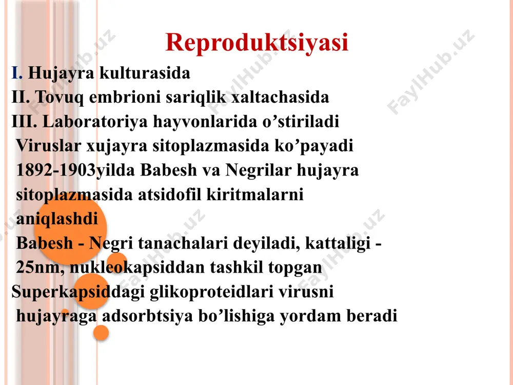 rdobi i) ifа, bgаr (hbs -antitelaning eritrotsitar diagnostikumi bilan qoʼyiladi ) hbs - antigen aniqlanadi (kasallikning 1- 4 haftasidan keyin) аgar hbs - antigen 1- yildan keyin xam aniqlansa surunkali formaga oʼtgan boʼladi аgar hbs - antigenning soni oʼzgarmay tursa-simptomsiz virus tashib yuruvchi hisoblanadi jgm aniqlanadi ii) bioximik analizda qon zardobida: аldolaza transaminaza ishqorli fasfataza kabi fermentlar aniqlanadi profilaktika 1. umumiy 2. maxsus profilaktika: kontakda boʼlganlarga gamma - globulin hbs ag+oʼldirilgan vaktsina-(frantsiya) enjeriks - achitqi zamburugʼi+hbs-ag rekombinat vaktsina boʼlib аmerikada gen injeneriya yoʼli bilan olingan image2.jpeg image3.jpeg