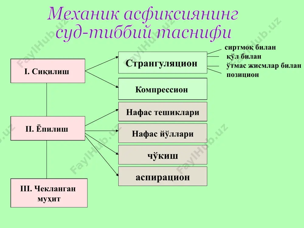 ёпиқ муҳитдаги асфиксия ёпиқ муҳитдаги асфиксия эьтиборингиз учун рахмат! image1.png image2.png image3.png image4.png image5.png image6.png image7.png image8.png image9.png image10.png image11.png image12.png image13.png image14.png image15.png image16.jpeg image17.png image18.jpeg image19.jpeg image20.png image21.jpeg image22.png image23.jpeg image24.emf image25.png image26.jpeg image27.emf image28.emf image29.png image30.png image31.png image32.png image33.png image34.jpeg image35.png image36.png image37.png image38.png image39.png image40.jpeg image41.jpeg