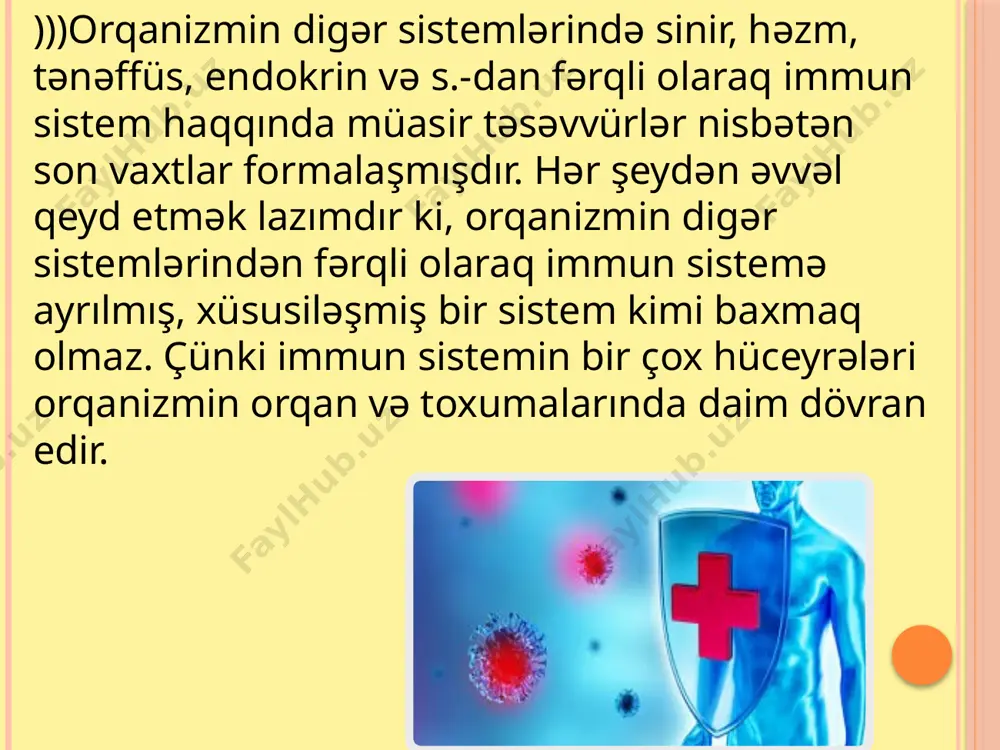 nları məhv edəcək immun reaksiyalar həyata keçirirlər. t- və b-limfositlər səthindəki reseptorlara görə də fərqlənirlər. b- limfositlərin səthində antigen üçün reseptorlar əsasən immunoqlobulinlərdən ibarətdir. bunlar quruluşlarına görə qan zərdabında olan immunoqlobulinlərdən qismən fərqlənirlər. lakin t-limfositlərin səthində olan antigen birləşdirici reseptorlar immunoqlobulinlər olmayıb, digər züllardan ibarətdir. b-limfositlər öz səthlərində bütün siniflərdə olan immunoqlobulinlərin fc-fraqmentinə qarşı reseptorlar daşıyırlar. b-limfositlər periferik limfoid orqanlarda yetkinləşdikdən sonra plazmatik hüceyrələrə çevrilərək anticisimlər sintez edirlər. plazmatik hüceyrələr geniş sitoplazmaya və hüceyrənin periferiyasında yerləşmiş nüvəyə malikdirlər. beləliklə, b-limfositlər humoral immun cavabın formalaşmasını təmin edir. yuxarıda göstərilən və bir sıra digər əlamətlər t- və b-limfositləri in vitro fərqləndirməyə kömək edir. bununla belə, bu hüceyrələr arasında digər prinsipial fərqlər də vardır. məsələn, immunoqlobulinlər sintez etmək qabiliyyətinə malik olan hüceyrələrə çevrilmə ancaq b-limfositlər üçün xasdır. t-limfositlərə gəlincə isə onlar antigen stimulunun təsirindən hüceyrəvi immun reaksiyaları təmin edən hüceyrələrə çevrilirlər. qeyd etmək lazımdır ki, t- və b-limfositlərin funksiyalarındakı bu fərqlər immun sistemin …