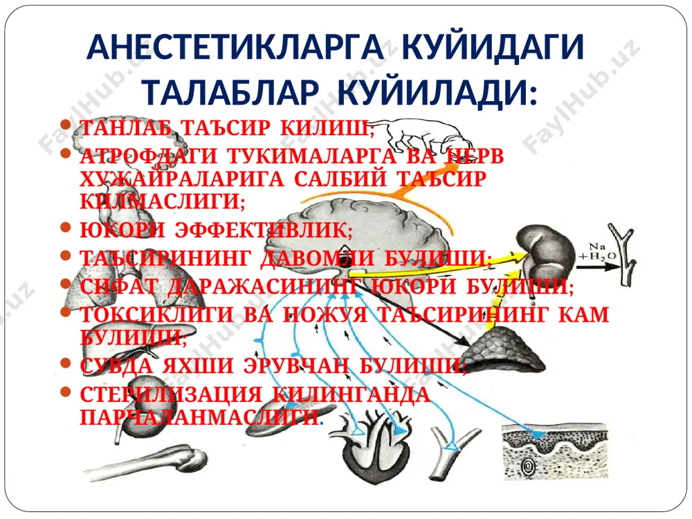 алликларни даволашда олиб бориладиган оғриқсизлантиришнинг ўзига хос томонлари: 1. оғиз бўшлиғи тўқималарининг юқори сезувчанлиги; 2. сифатли даволаш учун шифокорнинг бемор билан мулоқотда бўлиши; 3. хар томонлама текширишнинг чегараланганлиги; 4. огриксизлантириш майдонининг чегараланганлиги. кокаин кокаин куллашга курсатма: юза анестезияда, глаукомада карши курсатма: гипертония, юрак касалликларида ножуя таъсирлари: кон босимини оширади, тахикардия, корачикнинг кенгайиши, талваса, нафас марказининг фалажланиши, эйфория, карамлик юзага келади. дозаси: 1-3% ли эритма конъюктива бушли-гига, 2-5% ли эритма огиз, бурун, хи-килдок чикарилиш шакли: кукун дикаин дикаин куллашга курсатма: юза анестезияда, куз шиллик пардаси сезувчанлигини йукотиш максадида; ножуя таъсирлари: рангдор пардани таъсирлайди. дозаси: 0,25-2% ли эритма конъюктива бушлигига; 0,5-1% ли эритмадан 2-3 мл – оториноларингологияда; 0,3% ли эритмадан 15-20 мл – перидурал анестезия учун чикарилиш шакли: кукун , дикаинли куз плёнкалари анестезин анестезин курсатма: юза анестезия , ошкозондаги огрикларда, тугри ичакнинг ёрилишида, геморройда; дозаси: 0,3 – ичишга; 0,05 – 0,1 – ректал чикарилиш шакли: кукун, таблетка- 0,3; 5% ли малхам …