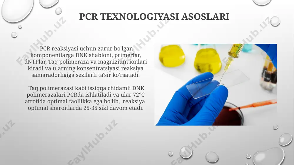 molekulyar markerlarni pcr yordamida ko'paytirish - Page 4