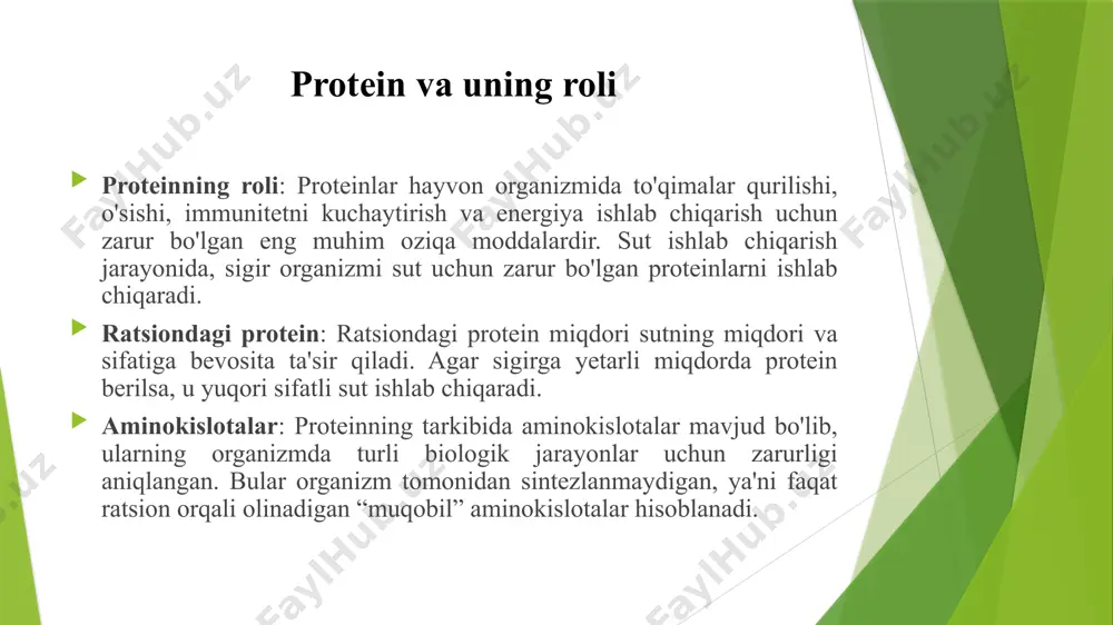 in va yog' miqdori ortadi. yuqori sifatli protein sigirning sutini boyitadi va sutning umumiy ozuqaviy qiymatini oshiradi. sutning sifatini yaxshilash: yuqori sifatli protein sigirlarning sutining umumiy sifatini yaxshilaydi, shu jumladan, ularning yog' tarkibini va ozuqaviy qiymatini oshiradi. sutdagi yuqori protein miqdori sigirlarni yanada samarali qilishga yordam beradi. protein manbalari o'simlik manbalari: o'simlik protein manbalariga soya, makkajo'xori, bug'doy, arpa va boshqa o'simliklar kiradi. o'simlik proteinlari arzonroq bo'lishi mumkin, ammo sigirlarning ozuqaviy ehtiyojlarini to'liq qondirishi uchun to'g'ri aralashmalari zarur. hayvon manbalari: hayvon proteinlari, masalan, sut va go'sht sanoatida ishlatiladigan hayvonlar (suyak, jigar) proteinlari ham muhimdir. biroq, ular ko'proq narxga ega bo'lishi mumkin. balansli yondashuv: proteinlarning o'simlik va hayvon manbalarini birgalikda ishlatish sigirlarning ehtiyojlarini mukammal ta'minlaydi. o'simlik proteinlari oson hazm bo'lsa-da, hayvon proteinlari ko'proq aminokislotalarni ta'minlaydi. protein sintezining biologik jarayoni aminokislotalar roli: hayvon organizmida protein sintezi uchun aminokislotalar zarur. bu jarayon hayvonning organizmida o'zgarishlarni boshqaradi. suyak, mushak, teri kabi to'qimalarning yangilanishi uchun aminokislotalar …