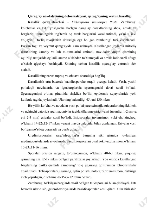 . yoz oxirida kasallangan barglarning pastki qismida zamburug’ to’q jigarrang qo’tirsimon teliopustulalar xosil qiladi. teliosporalari jigarrang, qalin po’stli, noto’g’ri prizmasimon, birbiriga zich yopishgan, o’lchami 20-35x7-12 mkm bo’ladi. zamburug’ to’kilgan barglarda xosil bo’lgan teliosporalari bilan qishlaydi. erta baxorda ular o’sib, geterobazidiyalarida bazidiosporalar xosil qiladi. ular birlashib changlanuvchi tillarang, mayin g’ubor tashkil qiladi. bazidiosporalar qarag’ayning yosh novdalariga o’tib, ularda esiyalar xosil qiladi. zamburug’ qarag’ay daraxti uchun xavflidir, chunki uning mitseliysi ta’sirida lub va kambiy to’qimalari yoriladi, o’sim-lik suvini yo’qotadi, uning mexanik chidamliligi pasayadi, novda egiladi va deformatsiya yuzaga keladi. faqat jadal o’sayotgan baquvvat novdalargina egilmay qoladi. bu kasallik ko’chatzorlarda, yosh daraxtzorlarda va tabiiy o’r-monlarda qarag’ay daraxtiga katta zarar keltiradi. novdalarining deformatsiyasi yog’och qismining texnik sifatini yomonlashishiga olib keladi. kasallik kuchli rivojlanganda daraxtning yuqori qismi qurib qoladi. natijada «jodugar supurgisi» xosil bo’ladi. bu zamburug’ bilan kasallangan qarag’ay va terak daraxtlarining barglari bevaqt to’kiladi. kasallikning rivojlanishiga ob-xavo sharoiti yuqori dara-jada ta’sir qiladi. quruq va …