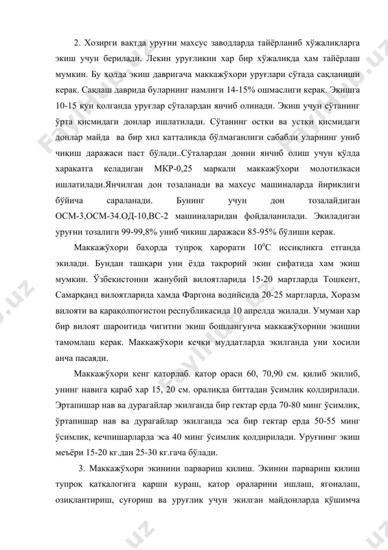 ириш, суғориш ва уруғлик учун экилган майдонларда қўшимча чанглашдан иборат. ўсув даврида маккажўхори 3 марта культивация қилинади. ўсимликда ўртача 3-4та барг хосил бўлганда биринчи культивация ўтказилади. маккажўхори қатор оралари кнр-4,2, мку-4,6, крх-2,8 маркали культиваторларда ишланади. маккажўхори экинидаги бегона ўтларга қарши гербицидлар огекон (4-6 кг/га), атразин (3-8 кг/га) трефлан (1-2 кг/га) гербицидлари ишлатилади. маккажухори навига тупроқ шароитига қараб 3 мартадан 6 мартагача суғорилади. 1-2 сув ўсимлик тўпгул чиқармасдан олдин берилади. тўпгул чиқариш ва дон етилиш даврида маккажўхори сувга талабчанлиги ортади ва бу даврда тез суғориб туриш керак. дон учун экилган маккажўхори гуллаш даврида қўшимча сунъий равишда чанглантирилади. 4. маккажўхорини такрорий экин сифатида экиш. маккажўхорини такрорий экин сифатида кузги экинлардан бўшаган ерларга экиш алохида ўрин тутади. бу холда кузги экинлар тез муддатда йигиб олинади, ер экишга тайёрланади ва уруғ экилгандан сўнг суғорилади. умуман маккажўхори такрорий экин сифатида экилганда унинг агротехникаси бахорда экилган маккажўхори агротехникасидан кам фарқ қилади., фақат маккажўхорининг эртапишар нав ва …