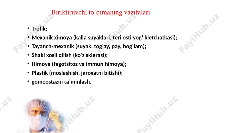 eliy hujayralari yurak, qon tomir sistemasining hamma tarkibiy qismlarini va limfa tomirlarini ichki tarafdan qoplab turadi. bu hujayralar uzluksiz qavat hosil qilib, limfatik tomirlardan boshqa qismida bazal plastinkada joylashadi. peritsitlar (pericyti, periangiocyti) peritsitlar hujayralari oval yoki noto’g’ri shaklda qon tomir endoteliy hujayralarining tashqi tomonida bazal membrana hosil qilgan yoriqlarda yoki bazal membrana bilan endoteliy hujayra bazal plazmolemmasi orasida peritsit hujayralari joylashib, ularni perikapillyar hujayralar yoki periangiotsitlar deb ham yuritiladi. siyrak biriktiruvchi to’qima hujayralararo moddalari siyrak biriktiruvchi to‘qimaning hujayralararo moddasi amorf (asosiy) moddadan va uch turli tolalardan iborat. kollagen va elastik tola tolalaming asosiy qismini tashkil etib, unda retikulyar tolalar kam uchraydi. hujayralararo modda 38 siyrak biriktiruvchi to’qima tolalari kollagen tolalar {fibrae collagenosae). kollagen (yunon. kolla — yelim, genos - yaratmoq, vujudga keltirmoq, yelim hosil qiluvchi demakdir) faqatgina asl biriktiruvchi to‘qimada bo’lmay, balki suyakda — ossein, tog’ayda — xondrin tolalar nomi bilan mavjud. kollagen tolalar siyrak biriktiruvchi to’qimada turli yo’nalishda yotuvchi …