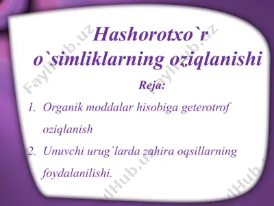hashorotxo`r o`simliklarning oziqlanishi — PPTX