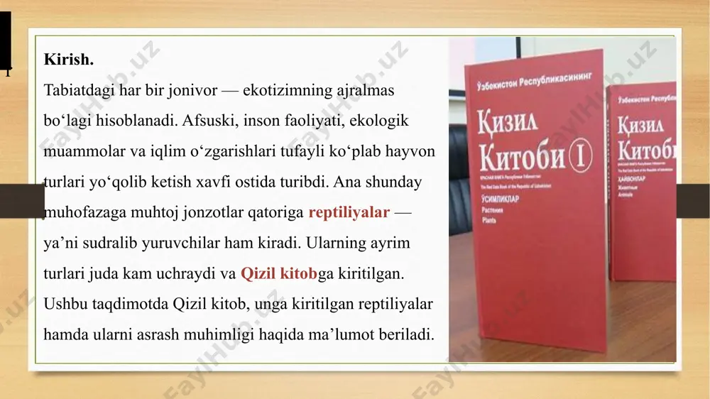 tuzilishi: ko‘pchilik turlarida yurak 3 kamerali; faqat timsohlarda 4 kamerali yurak mavjud. oziqlanishi: ko‘pchiligi yirtqich yoki hasharotxo‘r; ayrimlari o‘simliklar bilan oziqlanadi. umumiy yondashuv qizil kitob nima va uning ahamiyati qizil kitobning maqsadi va vazifalari tabiatni muhofaza qilishdagi roli reptiliyalar haqida umumiy ma’lumot reptiliyalar sinfi va ularning xususiyatlari ularning ekologik ahamiyati o‘zbekistonda qizil kitobga kiritilgan reptiliyalar misollar: o‘zbekiston kaltakesagi, markaziy osiyo toshbaqasi ularning holati va muhofaza choralari. o‘zbekistonning biologik xilma-xilligi va qizil kitob reptiliyalar soni va turlari yo‘qolib borayotgan reptiliyalar misollar: o‘zbekiston kaltakesagi, markaziy osiyo toshbaqasi ularning holati va muhofaza choralari muhofaza qilishdagi tashabbuslar davlat va nodavlat tashkilotlarining roli jamoatchilik ishtiroki. o‘zbekiston kaltakesagi (eremias velox) tarqalishi: asosan qizilqum cho‘li va amudaryo bo‘ylarida uchraydi. xavf omillari: yashash muhitining buzilishi, inson faoliyati natijasida tabiiy muhitning o‘zgarishi. muhofaza holati: qizil kitobga kiritilgan, muhofaza choralari ko‘rilmoqda. markaziy osiyo toshbaqasi (testudo horsfieldii). tarqalishi: o‘zbekistonning turli hududlarida, ayniqsa, cho‘l va dasht zonalarida. xavf omillari: noqonuniy ovlanish, yashash …
