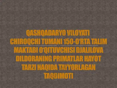 primatlar hayot tarzi — PPTX