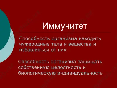 иммунитет — PPT
