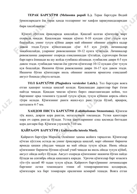 б, август ойида нобут бўлади. август охирида қўнғизнинг иккинчи бўғин пайдо бўлади ва сентябрь ойида қишлашга киради. урғочи қўнғизлар барг юзасига тўп-тўп қилиб 40 тадан тухум қўяди. қайроғоч баргхўрининг личинкалари баргнинг остки томонидаги этини еб томирларинигина қолдиради, қўнғизлари эса барг томирлари оралиғини кемириб тешади. вояга етган личинкалари дарахт ёнидаги тупроқ ичида ғумбакка айланади. қарши кураш чоралари 1. агротехник кураш чоралари. 2.кимёвий кураш чораларидан: фенкил 20 % к.э. 0,3 - 0,6 кг бир гектарига тавсия этилади. карате - 0,5 % к.э. - 1 га - 0,5 кг.