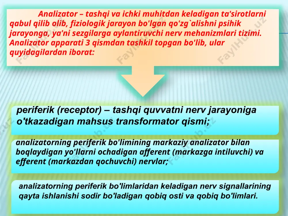 ari; tam bilish sezgilari; teri sezgilari; mustaqil harakat(kinestetik); statistic sezgilari; organik sezgilari; ranglar quyidagi turlarga ajratiladi: hromatik ranglar psihofiziologik qonunga ko'ra yorug`lik nurlari uchburchak shisha prizma orqali o'tib singanda hosil bo'ladigan rangga aytiladi va ularga kamalak ranglar, ya'ni qizil, zarg`aldoq, sariq, yashil, havo rang, ko'k, binafsha tuslarini qamrab oladi. ahromatik ranglar odatda oq rang, qora rang, kulrang va ularning turlicha ko'rinishlariga aytiladi. aim.uz kolbachalar yordami bilan hromatik, ya'ni kunduzgi ranglar ko'riladi. tayoqchalar yorug`likni yahshi sezuvchan bo'lib, hira va qorong`u paytlarda o'z funksiyasini bajaradi, ahromatik ranglarni aks ettiradi. uch rangli sezgi nazariyasining asosiy qoidalari 1756 yilda m.v.lomonosov tomonidan bayon qilingan bo'lsa, 1856 yildan keyin nemis fizigi g.gelmgols tomonidan uni to'la isbotlab berilgan ushbu nazariyaga binoan to'r pardaning kolbachalarida uchta asosiy element mavjuddir, ulardan birining qo'zg`alishi qizil rang sezgisini, ikkinchi qo'zg`alishi yashil rang sezgisi va uchinchi qo'zg`alishi binafsha rang sezgisini hosil qiladi. nazariyaga ko'ra yorug`lik to'lqinlari birdaniga uchta elementni bir hilda qo'zg`atsa, …