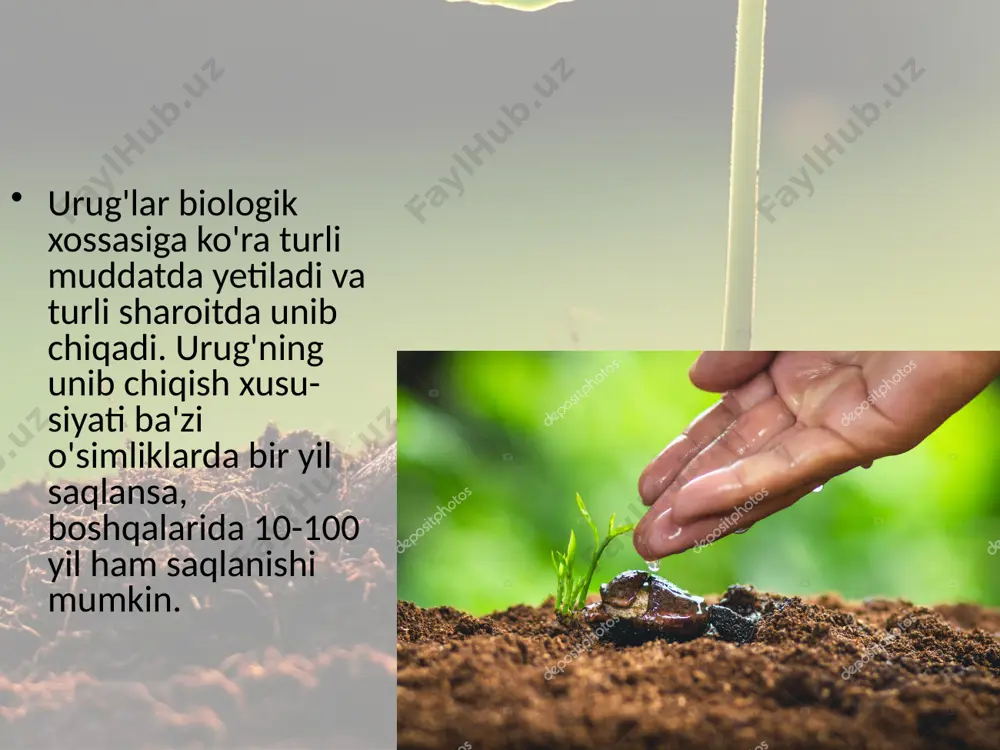 urug'larning unib chiqishi. 6 - sinf - Page 3