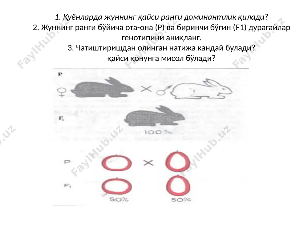 . (гомозигота) в. гетерозигота с. доминант белгили индивидлар д. икки турдаги гаметааларни ҳосил қилувчи индивидлар 10. қайси фикрлар тўғри? а. фенотип фақат генотипга боғлиқ в. (фенотип - генотип ва муҳитнинг ўзаро таъсирига боғлиқ) с. (гаметаалар жуфтларда фақат битта ирсий белгига эга) д. нўхатнинг сариқ уруғлар билан генотипи фақат аа бўлиши мумкин image1.png image2.png image3.png image4.png image5.png image6.png image7.png image8.png image9.png