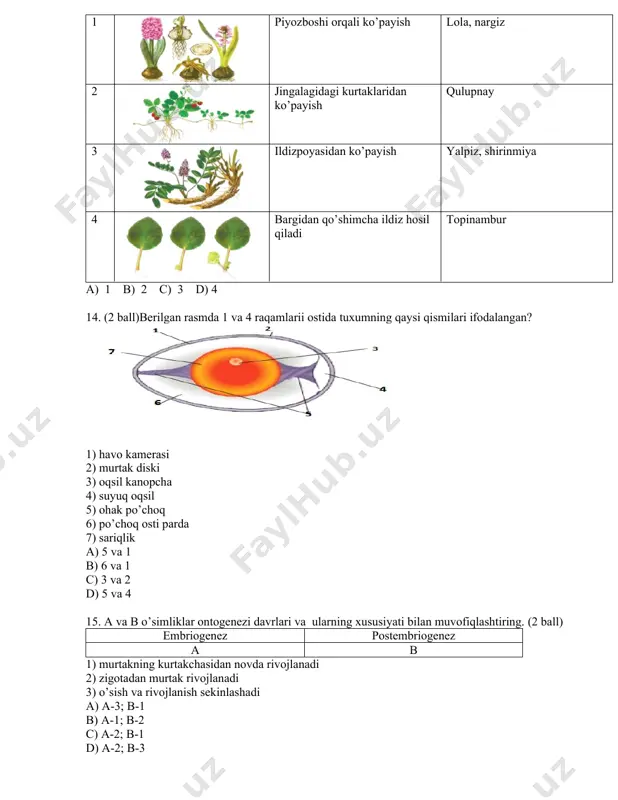 umumta’lim maktabining biologiya fanini o‘zlashtirish testi - Page 4