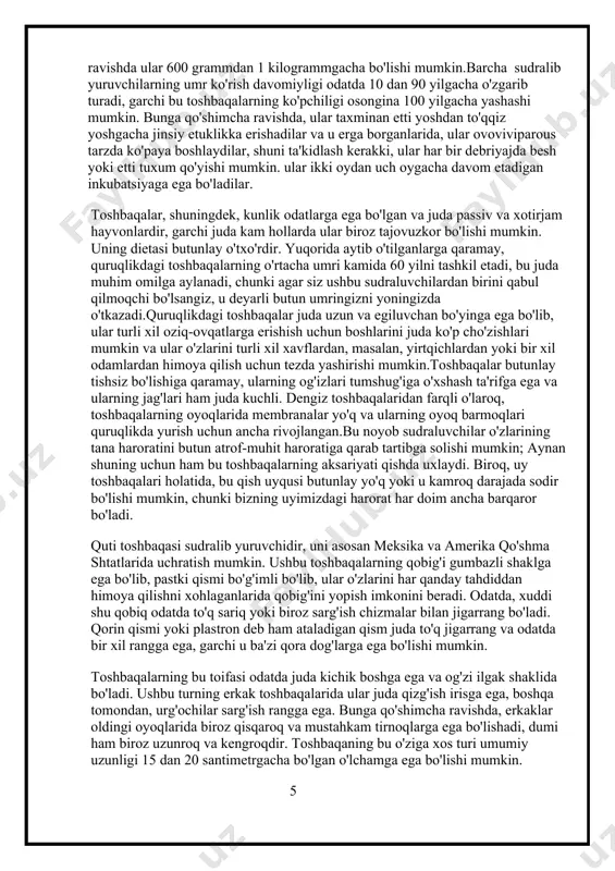 sudraluvchilardan birini qabul qilmoqchi bo'lsangiz, u deyarli butun umringizni yoningizda o'tkazadi.quruqlikdagi toshbaqalar juda uzun va egiluvchan bo'yinga ega bo'lib, ular turli xil oziq-ovqatlarga erishish uchun boshlarini juda ko'p cho'zishlari mumkin va ular o'zlarini turli xil xavflardan, masalan, yirtqichlardan yoki bir xil odamlardan himoya qilish uchun tezda yashirishi mumkin.toshbaqalar butunlay tishsiz bo'lishiga qaramay, ularning og'izlari tumshug'iga o'xshash ta'rifga ega va ularning jag'lari ham juda kuchli. dengiz toshbaqalaridan farqli o'laroq, toshbaqalarning oyoqlarida membranalar yo'q va ularning oyoq barmoqlari quruqlikda yurish uchun ancha rivojlangan.bu noyob sudraluvchilar o'zlarining tana haroratini butun atrof-muhit haroratiga qarab tartibga solishi mumkin; aynan shuning uchun ham bu toshbaqalarning aksariyati qishda uxlaydi. biroq, uy toshbaqalari holatida, bu qish uyqusi butunlay yo'q yoki u kamroq darajada sodir bo'lishi mumkin, chunki bizning uyimizdagi harorat har doim ancha barqaror bo'ladi. quti toshbaqasi sudralib yuruvchidir, uni asosan meksika va amerika qo'shma shtatlarida uchratish mumkin. ushbu toshbaqalarning qobig'i gumbazli shaklga ega bo'lib, pastki qismi bo'g'imli …