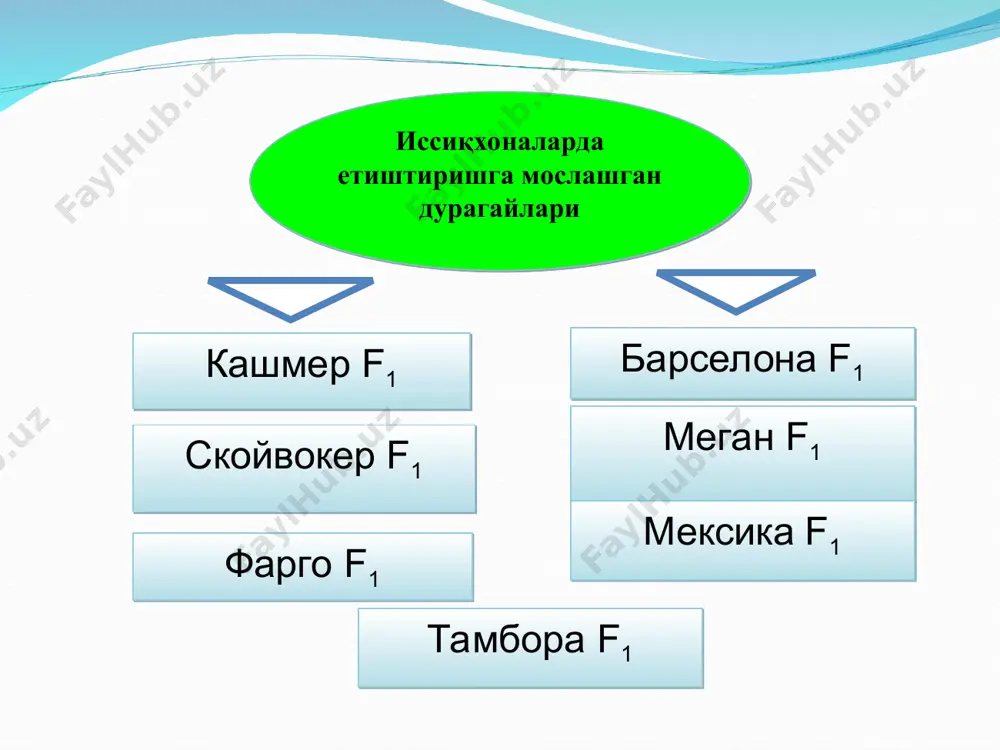 жишки иссиқхоналарда бошқа сабзавотларни етиштириш - Page 5