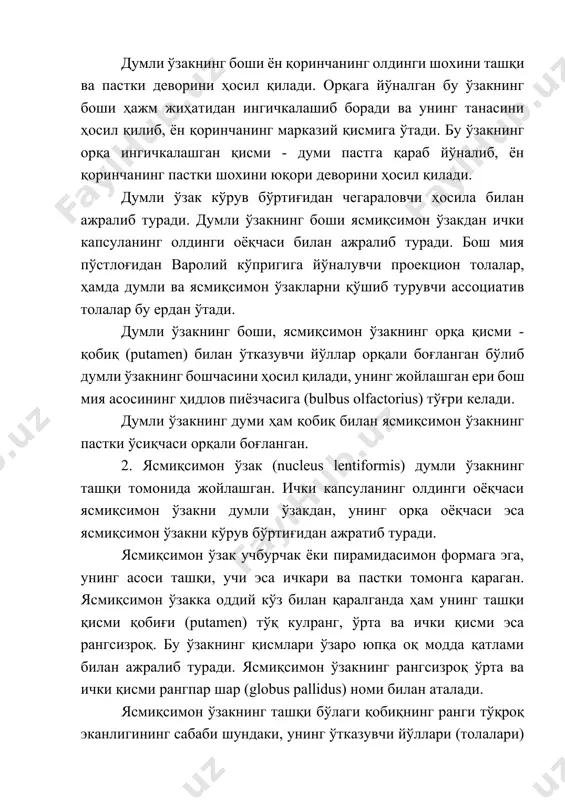 чакка бўлагининг пастки гиппокамп пуштасининг олдинги қисмининг орасида жойлашган. 4. тўсиқ - (ихота) (claustrum) ясмиқсимон ўзакнинг ташқи томонида жойлашган бўлиб, у кул рангга эга бўлган юпқа пластинкадан иборат, ясмиқсимон ўзакдан ташқи капсула ажратиб туради. пўстлоқ ости тугунларининг гистологик тузилиши. 1. тарғил тананинг қобиғи кўп миқдордаги майда ва баъзан учраб турувчи йирик ҳужайралардан иборат, улар мультиполяр, учбурчак шаклга эга, цитоплазмаси тигроид моддадан холис. қобиқда миелин пардали толалар жуда кам, асосан мустақил, тутам-тутам ҳолида бўлган миелинсиз толалар учрайди. думли ўзакнинг боши ва қобиқни гистологик тузилиши бир хил бўлганлиги учун уларни стриатум таркибига киритилган. о.фотх (o.vogt, 1920) фикрига биноан тарғил тананинг баъзи қаватлари ўзининг макроскопик ва гистологик ўзгариши билан бош мия пўстлоғининг аналогик қаватларининг тузилишига ўхшайди. бильшовский (1920) текширишларининг натижаси бўйича тарғил танада икки хил ганглиоз ҳужайраларни учратиш мумкин. кўпчиликни майда йирик ўзаклик голджи ҳужайралари ташкил этади, уларга эфферент толалар киради. уларнинг аксонлари эса йирик ҳужайралар томон йўналади. бу йирик ҳужайралар узун аксонлик …